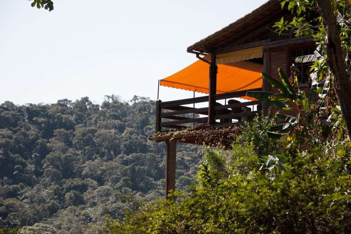 O deck panorâmico do restaurante debruçado sobre a floresta